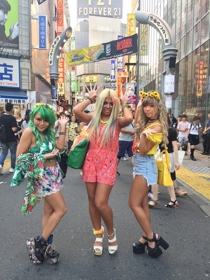 参考写真:(右から)あおちゃん、ぇりもっこり、まーちりん(提供写真)