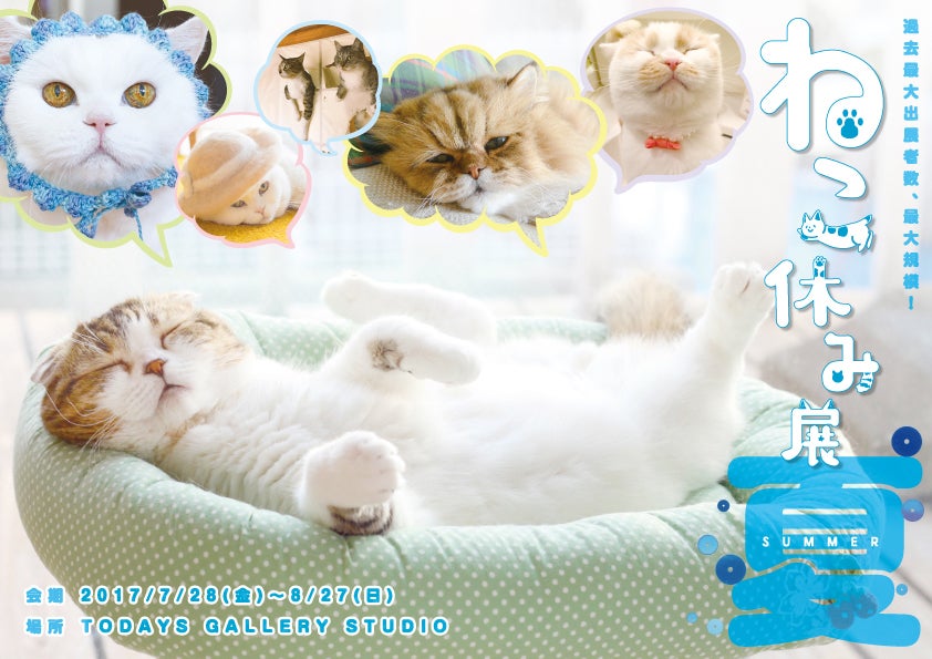 ねこ休み展／画像提供：BACON