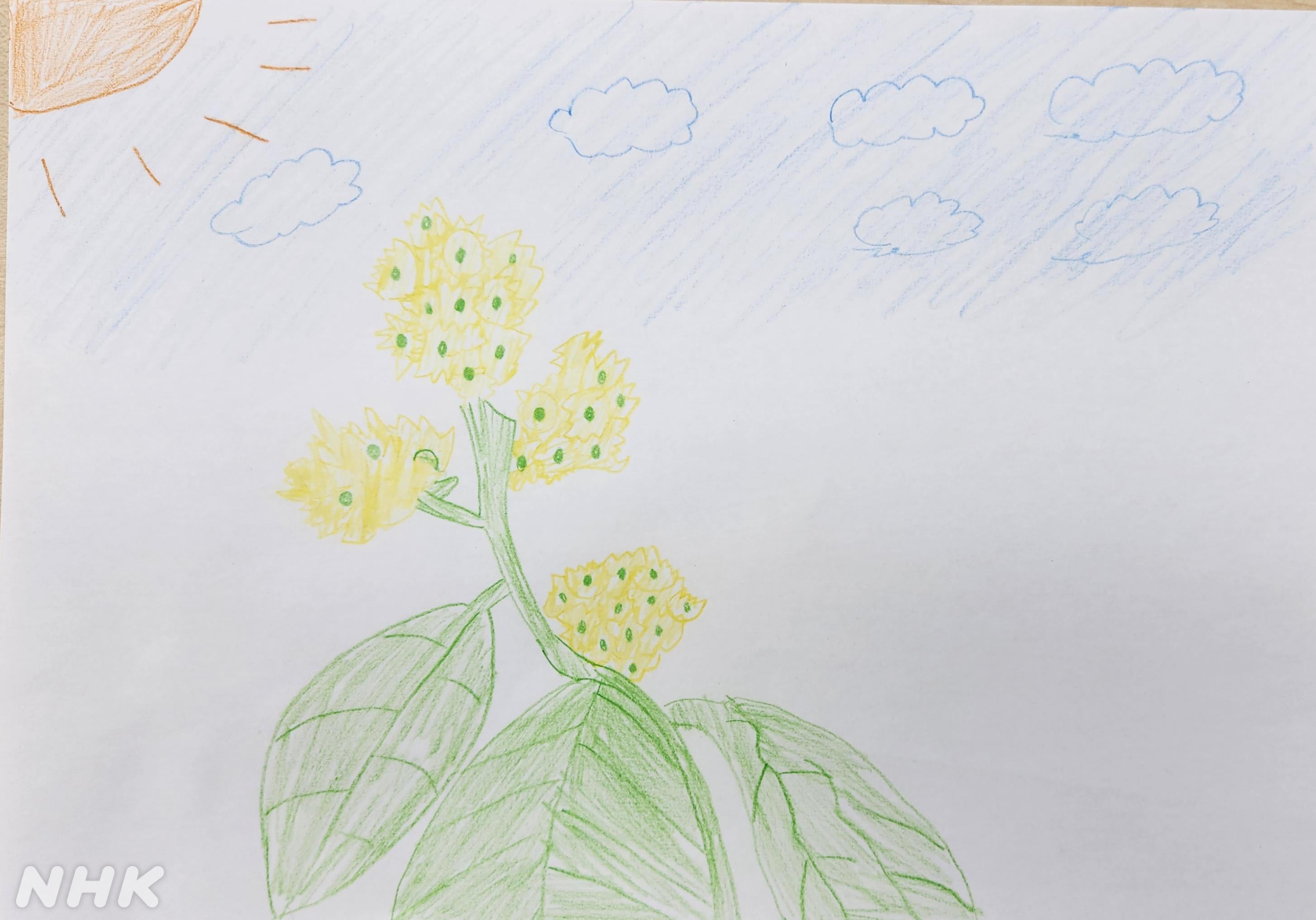 志尊淳のイラスト／「NHKアーカイブス」公式Twitterより