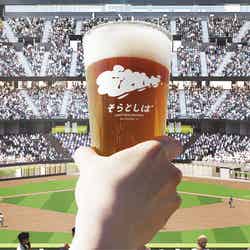 そらとしば(C)H.N.F.