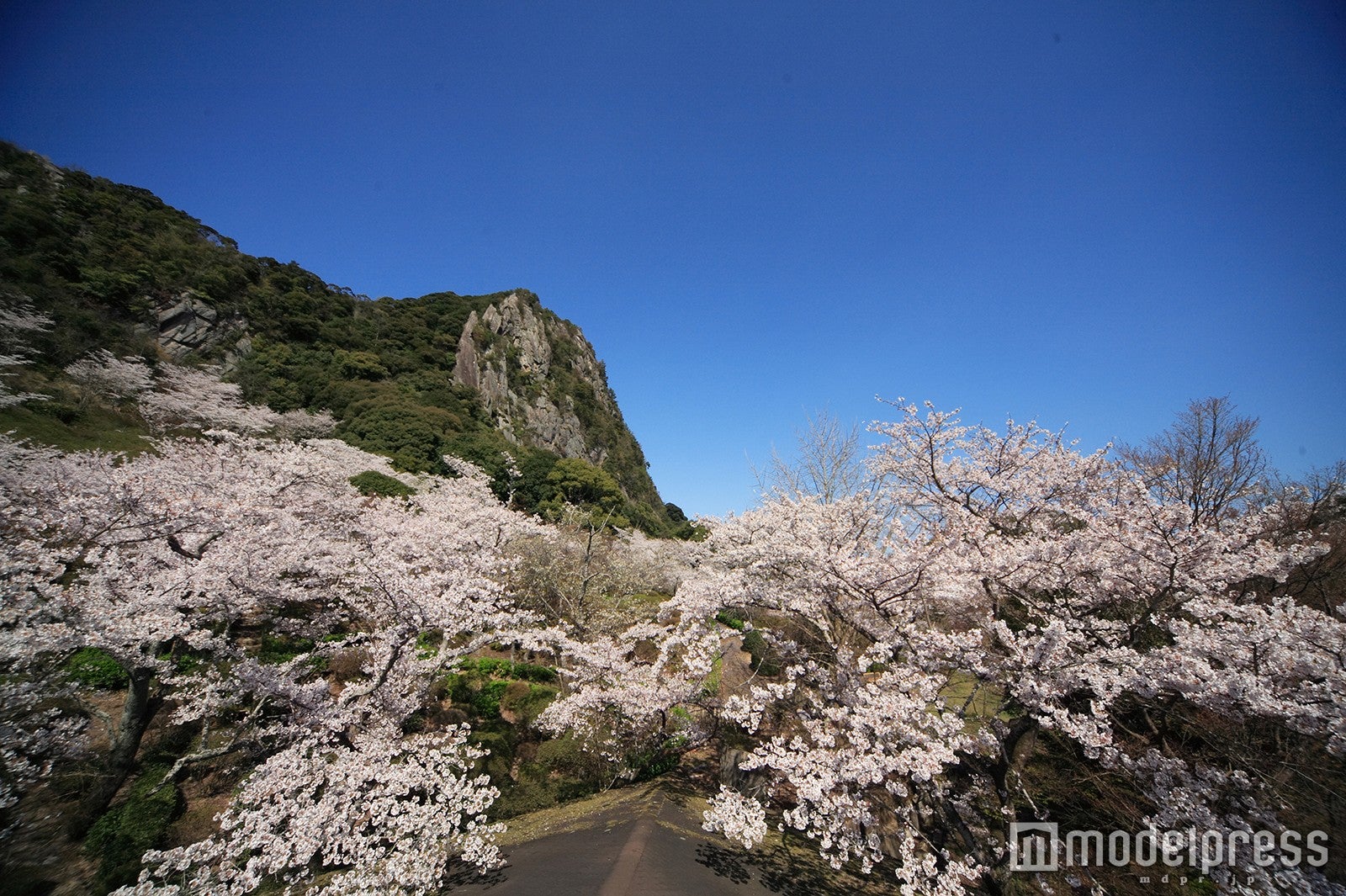 ／御船山観光ホテル