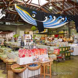 食品、惣菜、スイーツ、野菜、果物、調味料など松浦土産が充実(C)モデルプレス