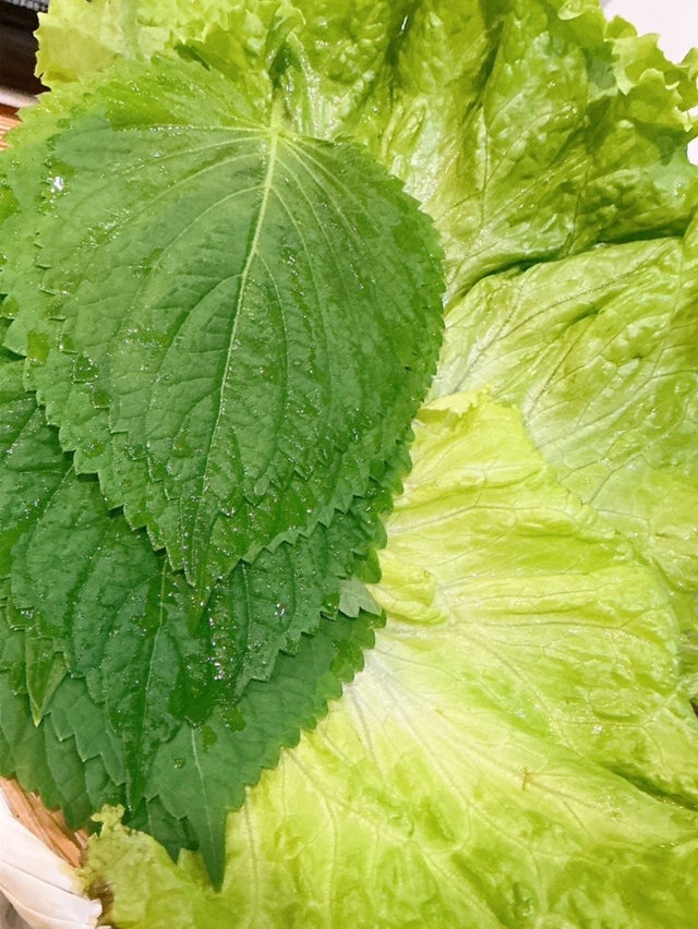 渡辺美奈代オフィシャルブログより