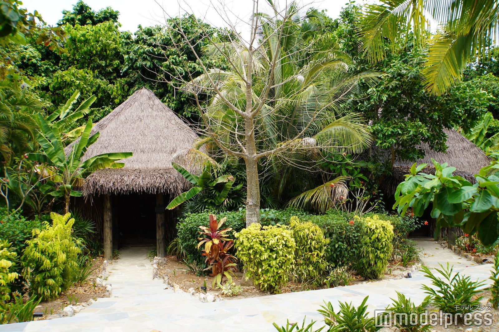 シックスセンシズ フィジー（C）モデルプレス