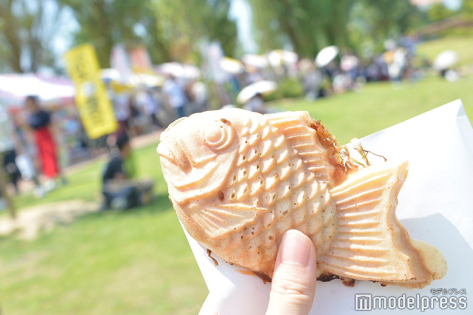 白エビ入りお好み鯛焼き （C）モデルプレス