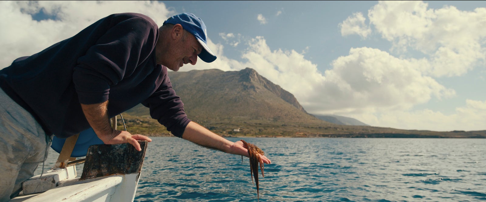 Amazon Original「オクトパス！ ～未知なる生命体タコの世界～」（Octopus!／アメリカ）シーズン1（C）2025 Amazon Content Services LLC