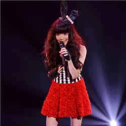 Milky Bunny(益若つばさ)