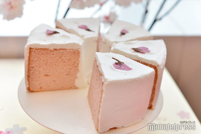 SAKURAFULシフォンケーキ (C)モデルプレス