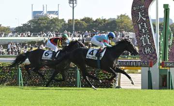 アローメタルが東京8R勝利しキズナ産駒のJRA通算勝利数が1000勝達成 JRAでは25頭目