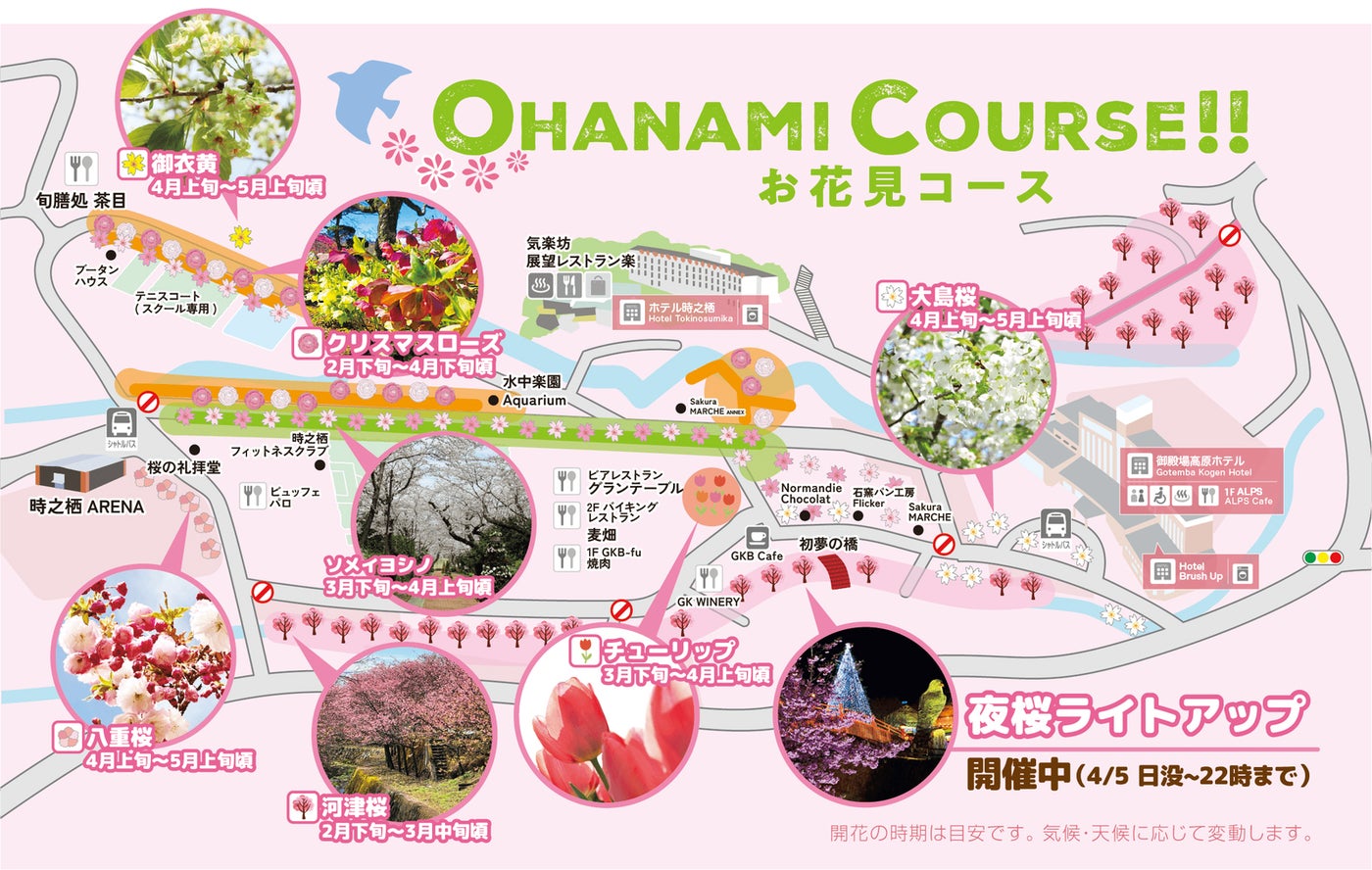 Spring Festival 2026／提供画像