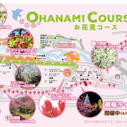 Spring Festival 2026/提供画像