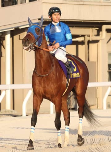 【地方競馬】ナルカミ、ナチュラルライズのJRA3歳2騎は先行争いでともに惨敗 ナルカミ騎乗の戸崎圭は「最後がちょっと…」、ナチュラルライズ騎乗の横山武は「見えない疲れがあったのかな」と悔しい表情