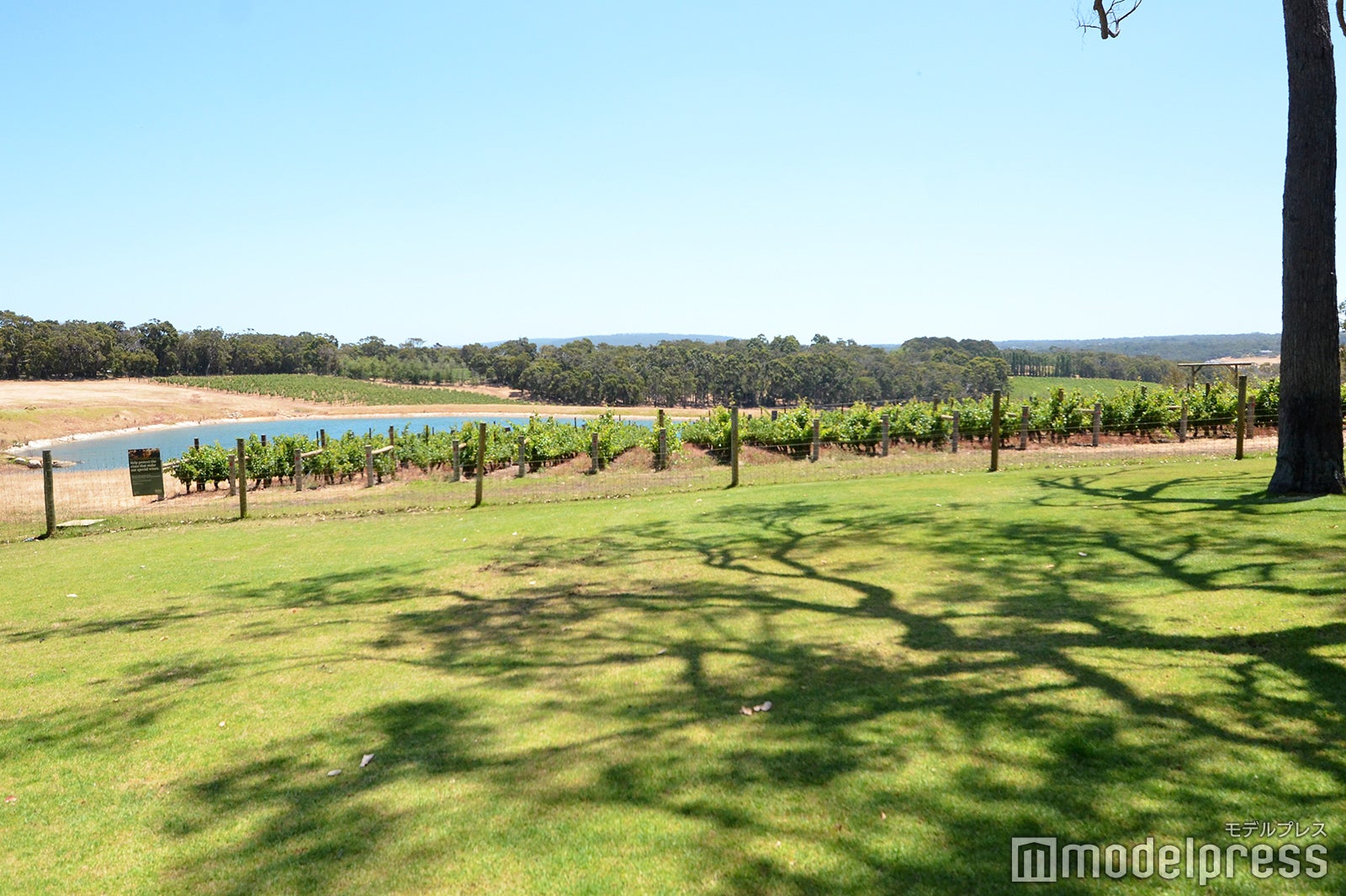 スウィングス＆ラウンドアバウト（C）モデルプレス