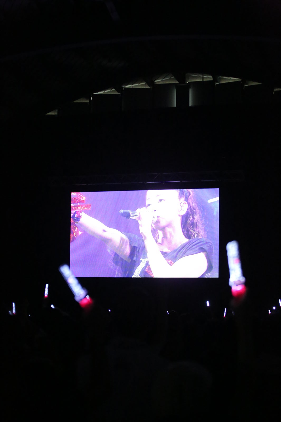 「WE ◆ NAMIE 特別応援上映」の様子（提供写真）