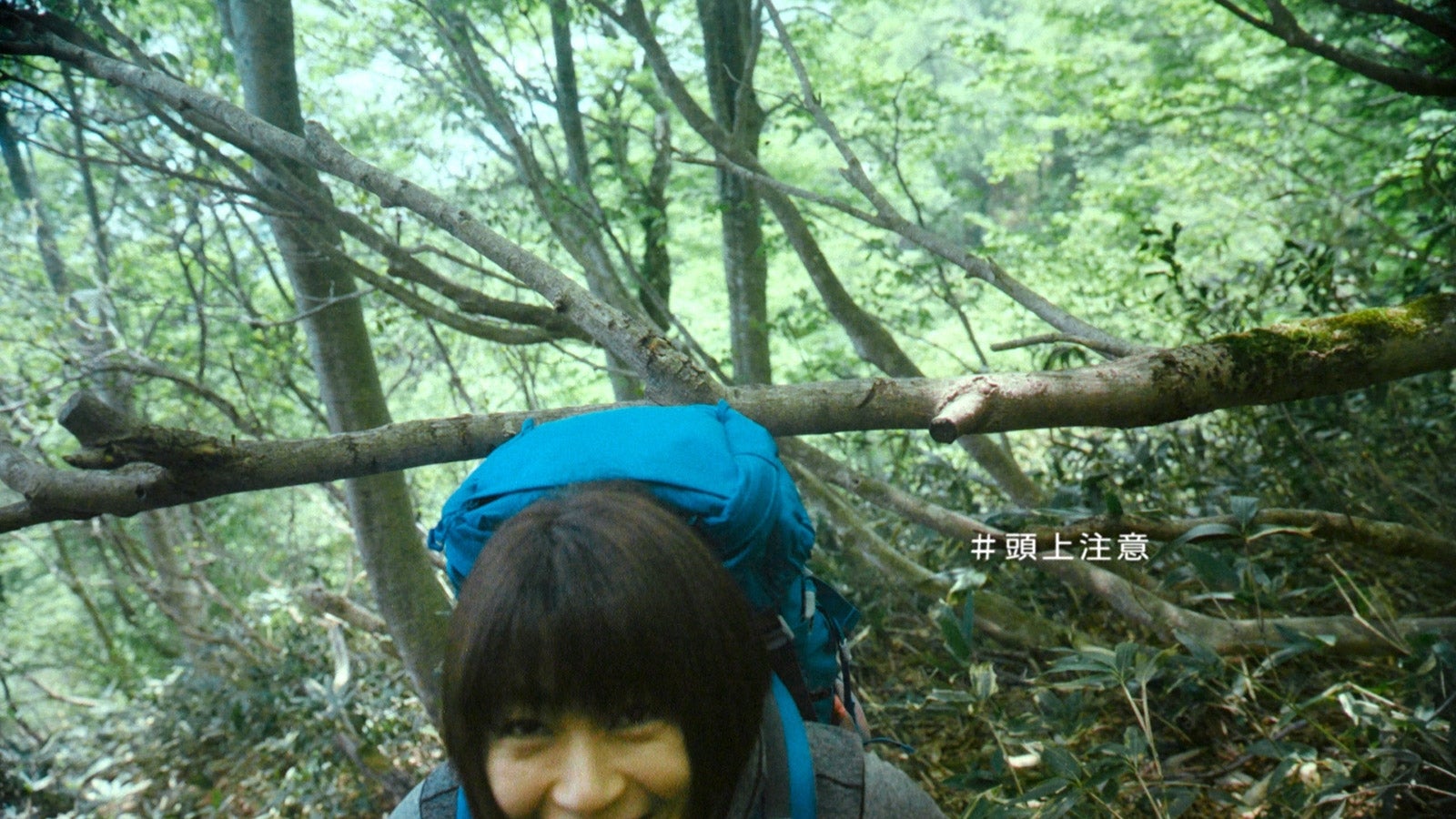 宇多田ヒカル出演「水の山行ってきた 奥大山」篇より（提供写真）