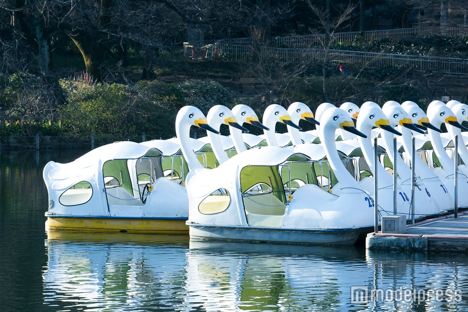 井の頭恩賜公園／モデル：榊本麻衣、伊原めあり（C）モデルプレス