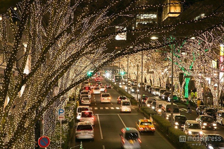 過去の表参道イルミネーション／画像提供：商店街振興組合原宿表参道欅会