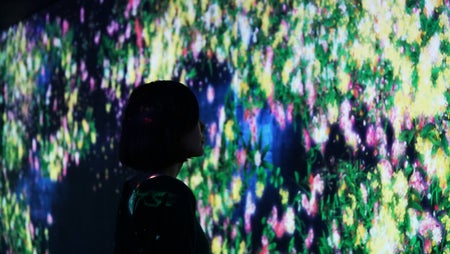 チームラボギャラリー真玉海岸／画像提供：大分県豊後高田市