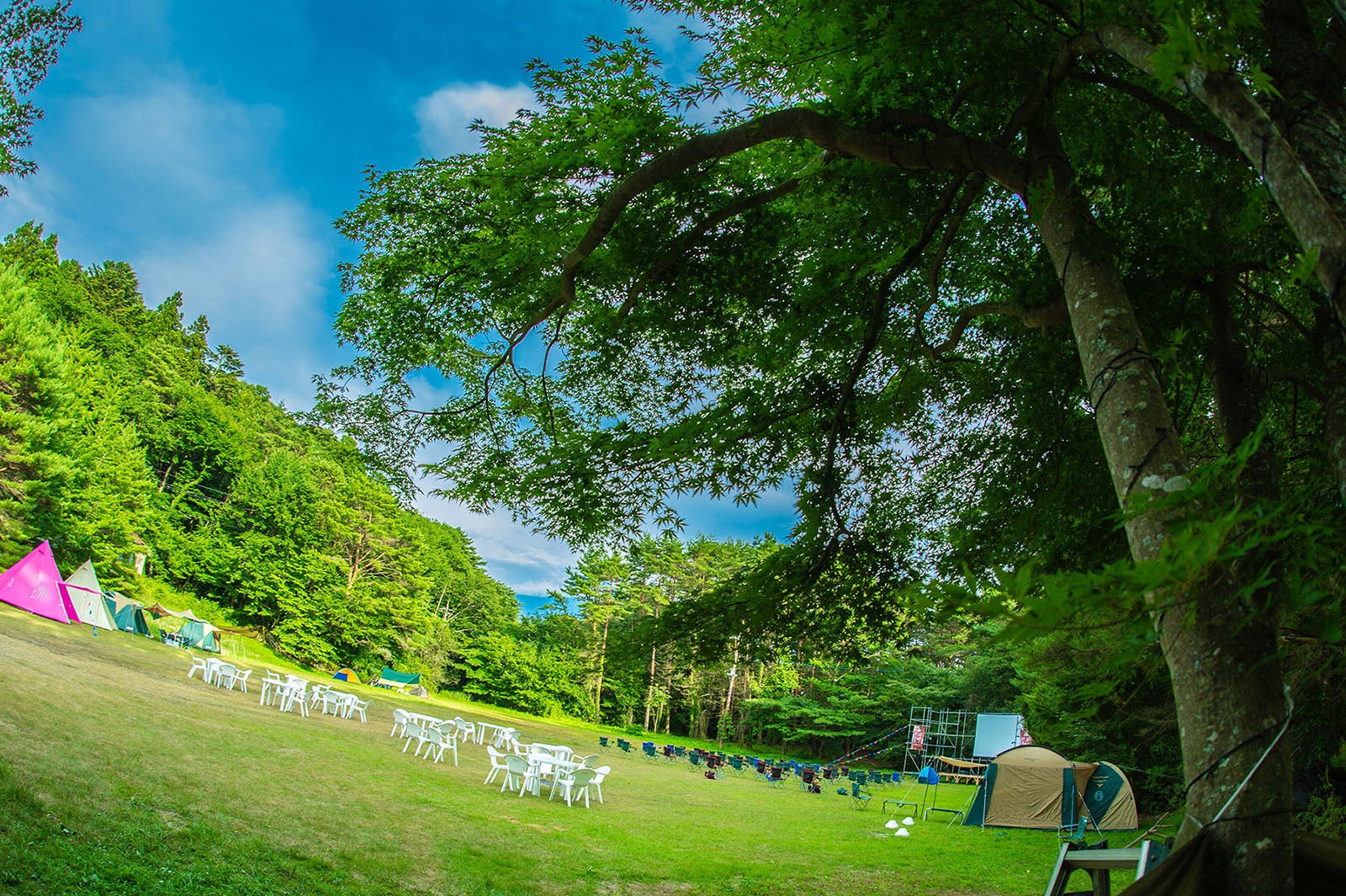 「富士　湖畔の映画祭」昨年の様子／画像提供：湖畔の映画祭実行委員会