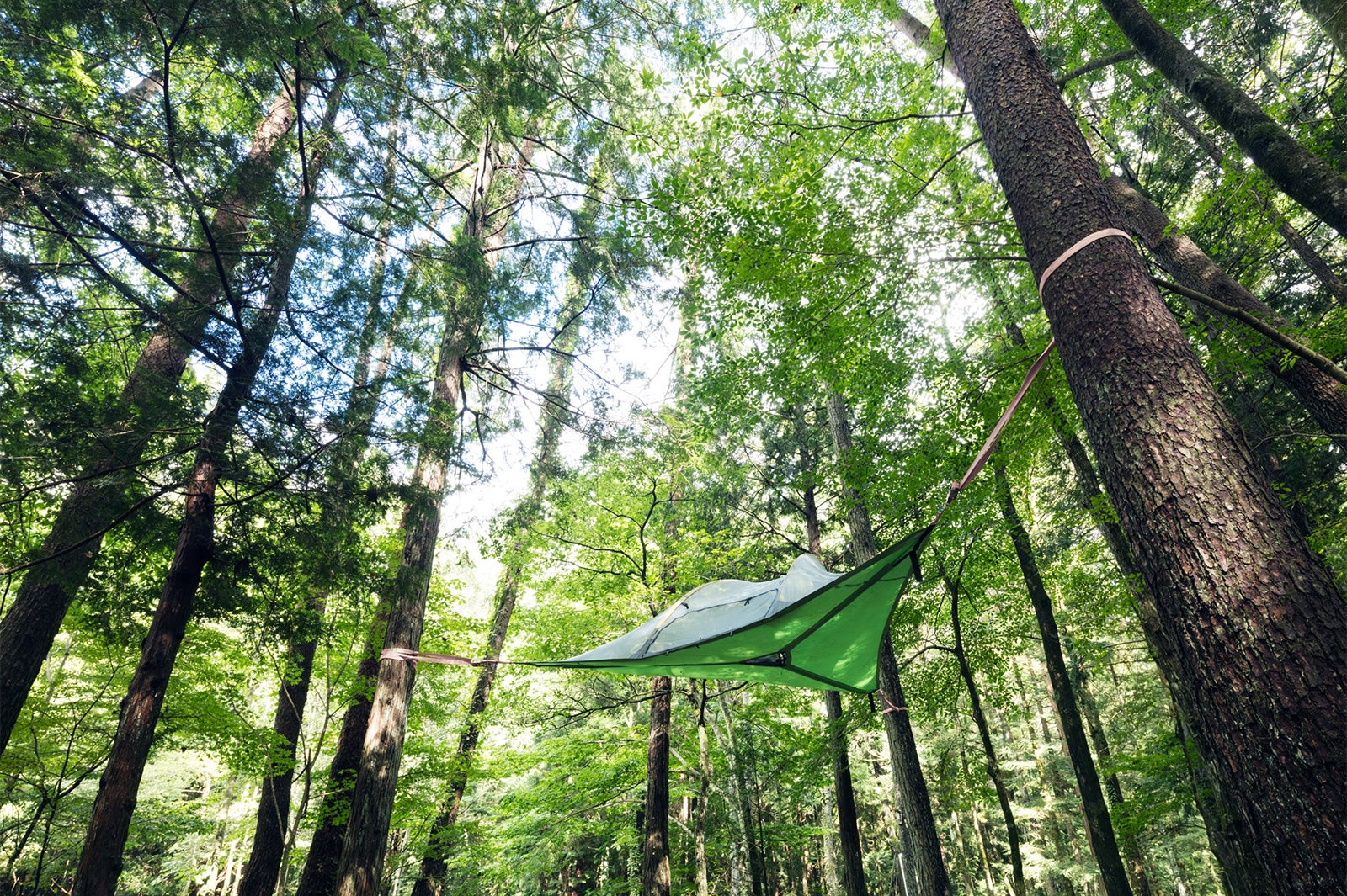 寝床作りを体験する「春の森グランピングリトリート」の「森のシエスタ」／画像提供：星野リゾート