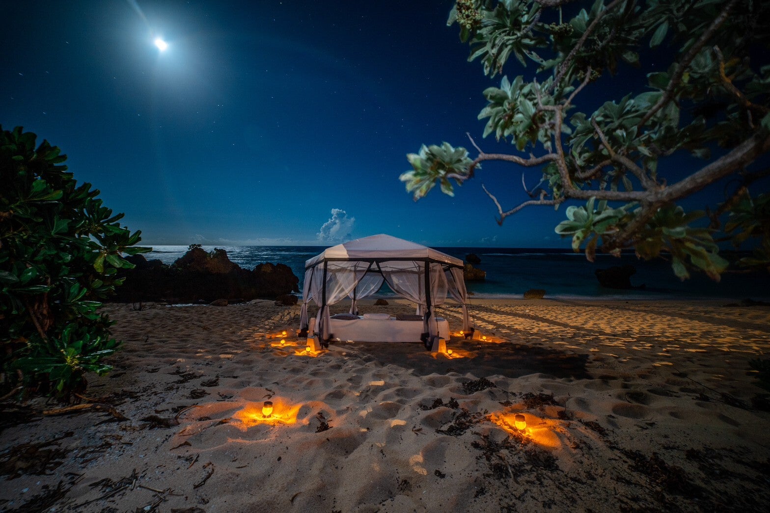 ザ・パナリ／提供画像