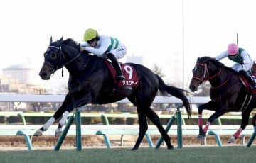 ショウヘイは大阪杯を川田で予定 アドマイヤテラは再び武豊とのコンビで阪神大賞典へ