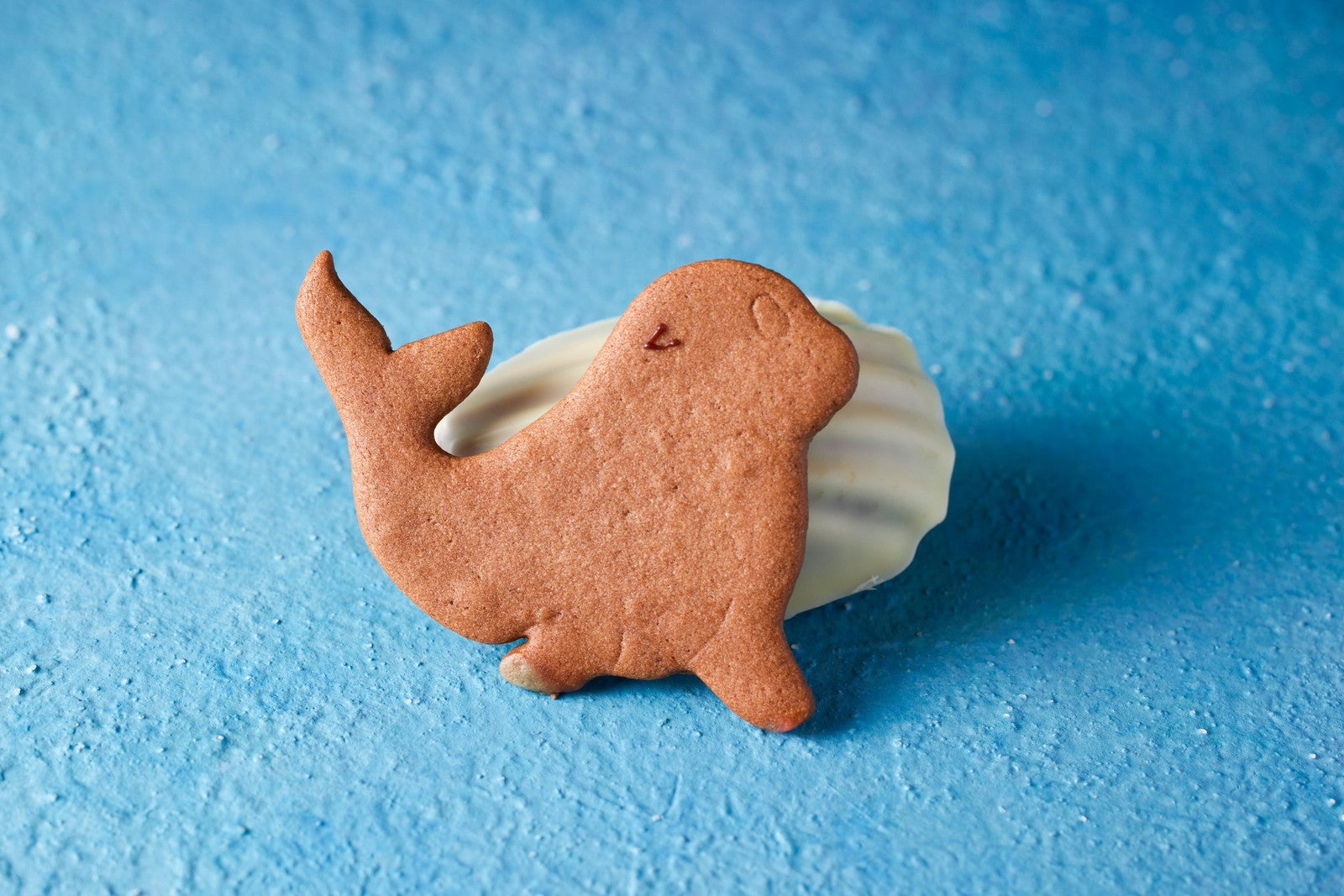 すみだ水族館コラボアフタヌーンティー／提供画像