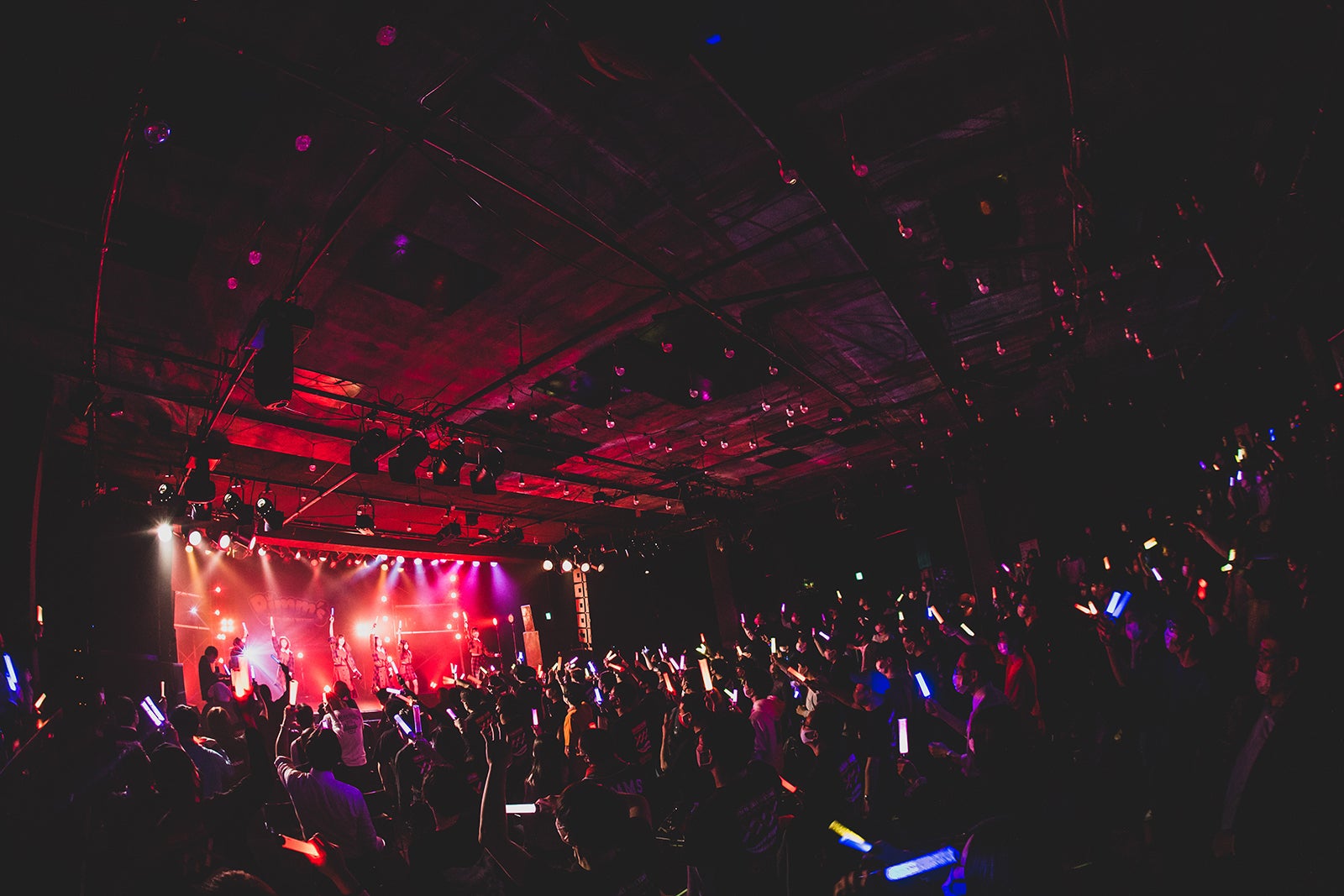 Pimm’s（提供写真）