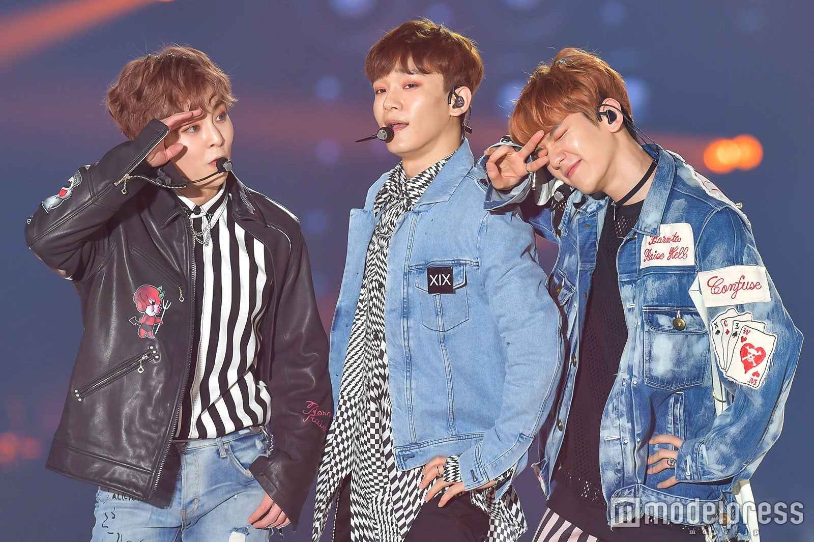 EXO アンコン チケットホルダー CBX ベッキョン