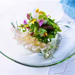 リゾナーレ下関/提供画像