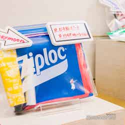 外から中身が確認できるのもポイント(C)モデルプレス