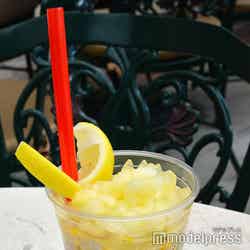 (C)モデルプレス