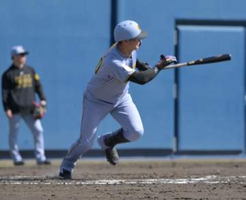 阪神2軍 野手になった西純がまた快音！8試合連続安打 三遊間を突破する左前打 4番起用に応え続ける