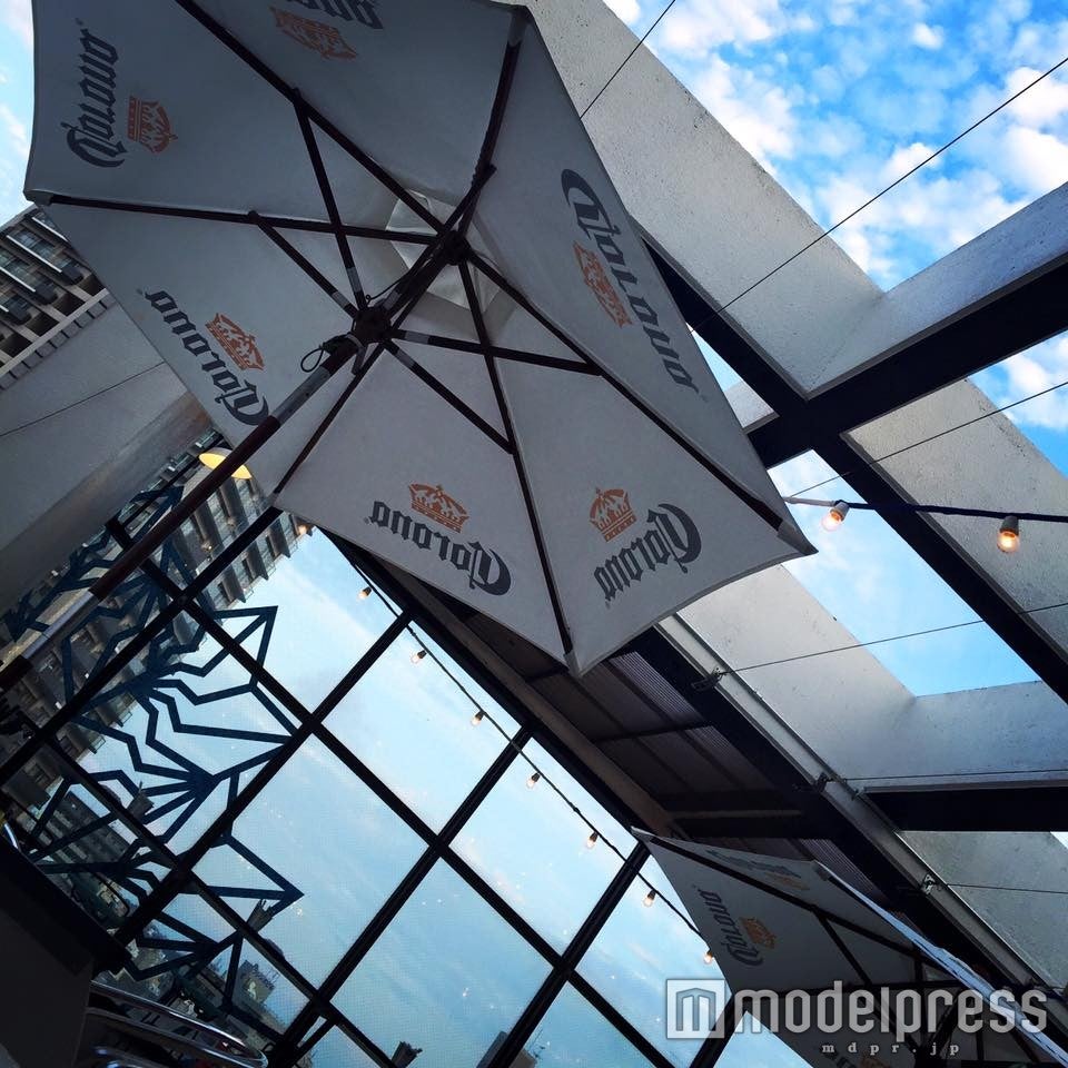 晴れた日には屋内にいながら青空が見える／画像提供：EL FARO