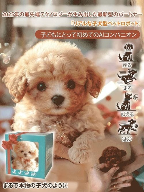 詐欺商品