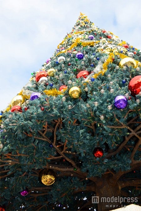 東京ディズニーシー