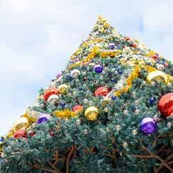 東京ディズニーシー