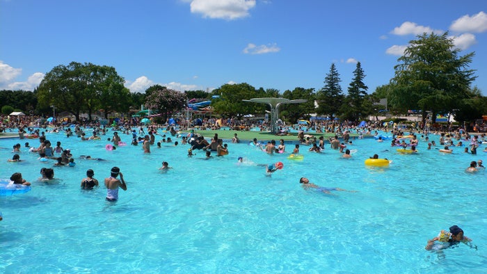 国営昭和記念公園 レインボープール 9種の遊び場集う本格レジャープールが営業開始 女子旅プレス