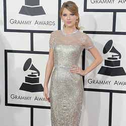 シルバーのドレスが超ゴージャス！／photo：Getty Images