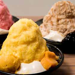 アイスモンスター&マックスブレナー、2大行列店が名古屋初出店/画像提供:TRANSIT GENERAL OFFICE