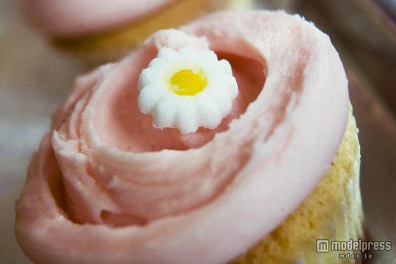 クラシックカップケーキ