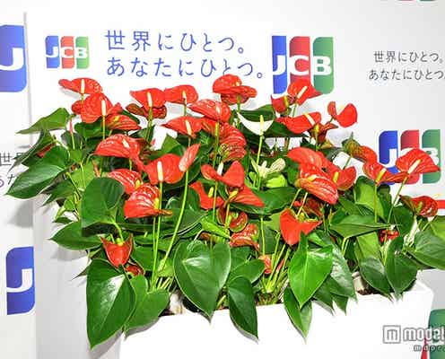 嵐・二宮和也、世界にひとつのものは「やっぱり嵐」