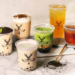 ジ アレイ/画像提供:ポトマック