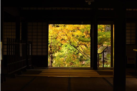 目黒邸／提供素材