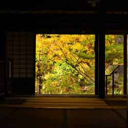 目黒邸/提供素材