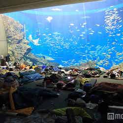 トロピカルアイランド・ナイトステイ/画像提供:グランビスタ ホテル&リゾート