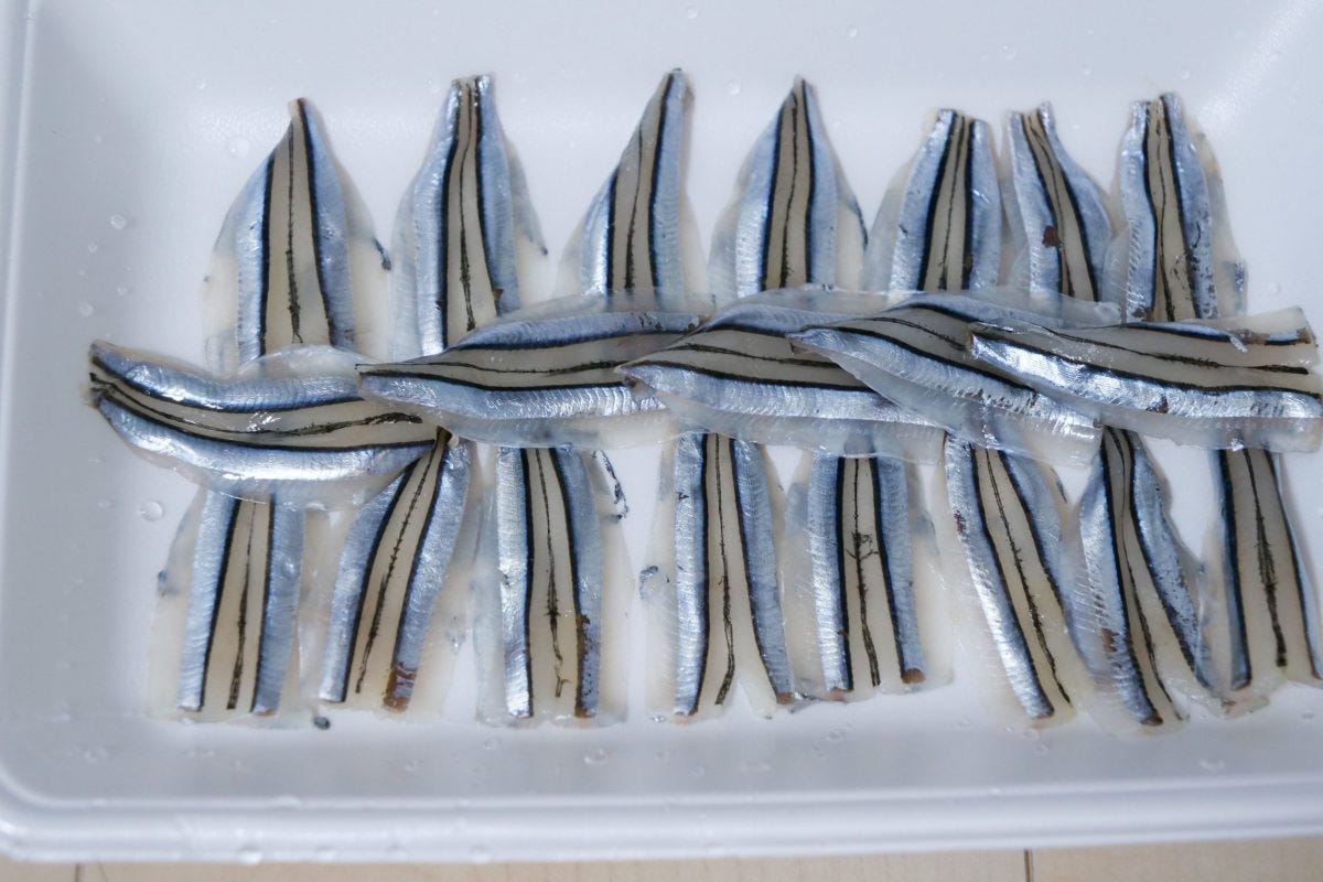 きびなごの刺身