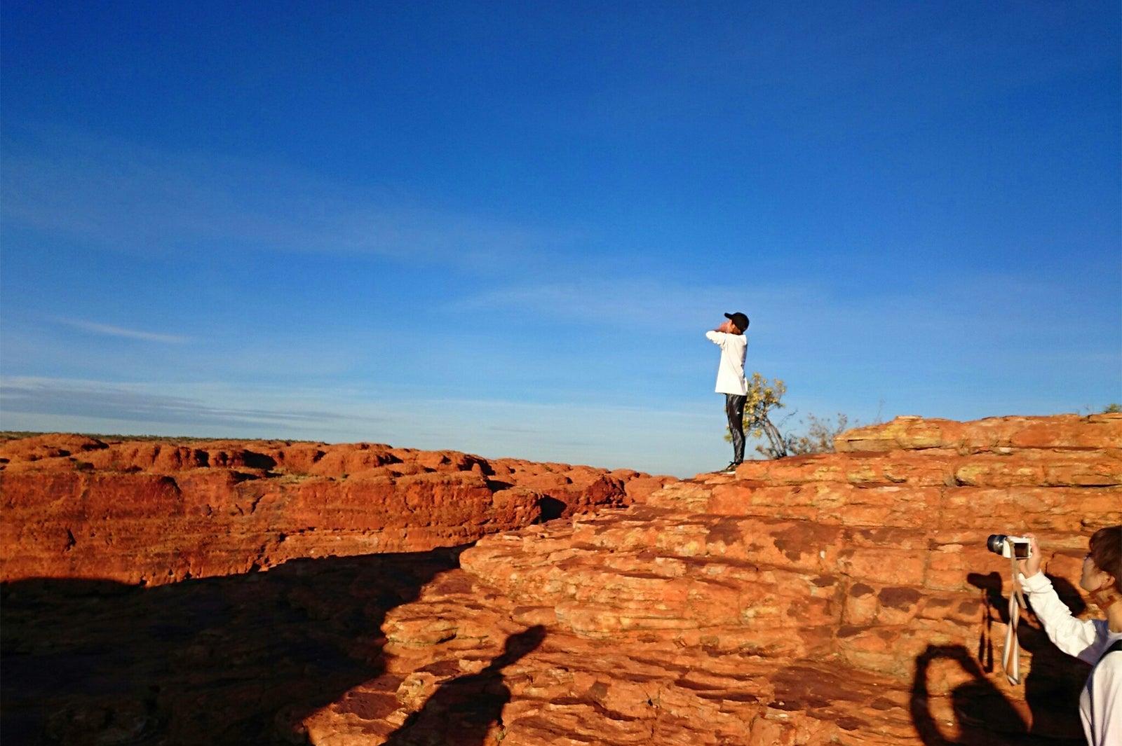 キングスキャニオン／画像提供：ノーザンテリトリー政府観光局