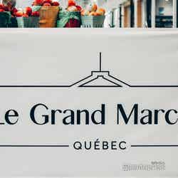 Le Grand Marche（C）モデルプレス