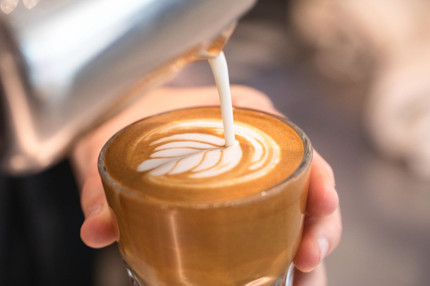 ブルーボトルコーヒー 代官山カフェ、12月20日オープン　新作メニューや野菜たっぷりブランチプレートなど